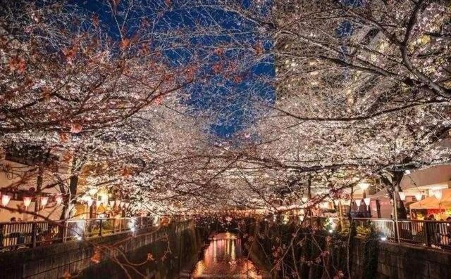 Отель Sakuranomiya Осака Экстерьер фото